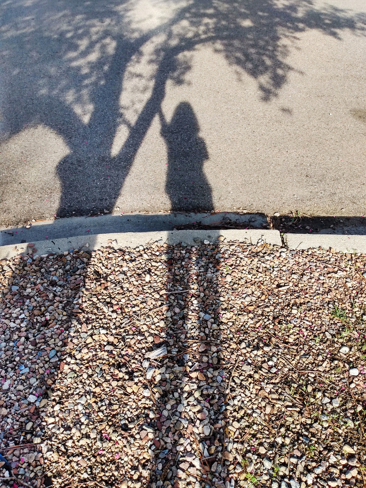 2024-Braver Lens Hope 2 - Avery - 4-300dpi (1)